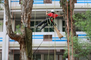 黃瀅瀅教練正跳躍兩棵大樹，為學員設置吊床