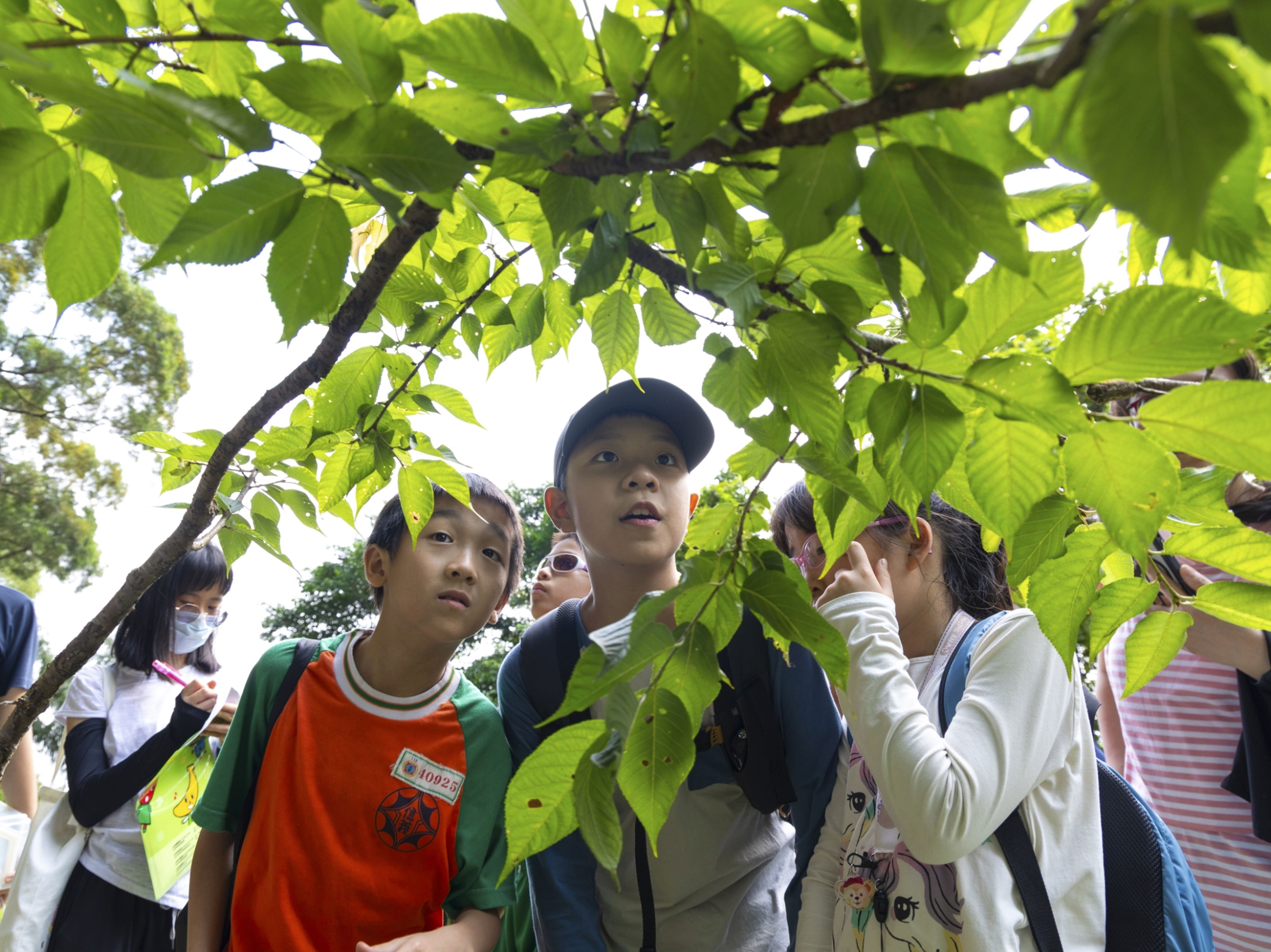 LINE_ALBUM_成果PPT照片_240701_5-5