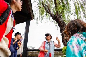 柳樹喜有水氣的地方，是家具界的最佳男主角。