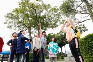 大家抬頭看嫩葉是什麼顏色。