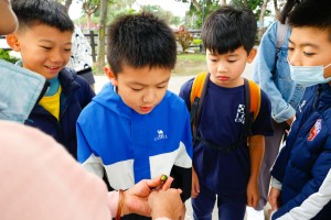 老師剝開果實，有濃濃的青草味。