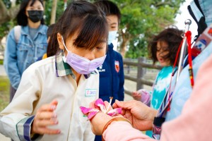 美人樹的花色粉嫩，果然是美人胚子。